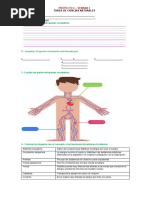 Material CCNN Semana 3