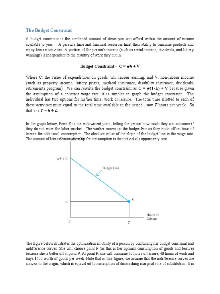 The Budget Constraint PDF