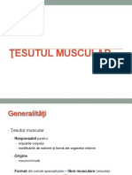 Tesutul Muscular Scheletic - BFK - 2022 PDF