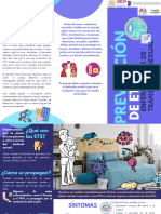 Tríptico ETS PDF