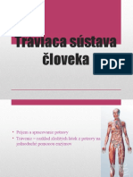 Traviaca Sustava Cloveka Prezentacia