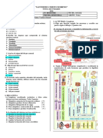 Examen de Anatomía