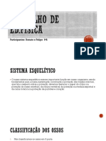 Apresentação PDF