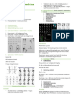 Clase 8 Protocolos Medicina Nuclear PDF