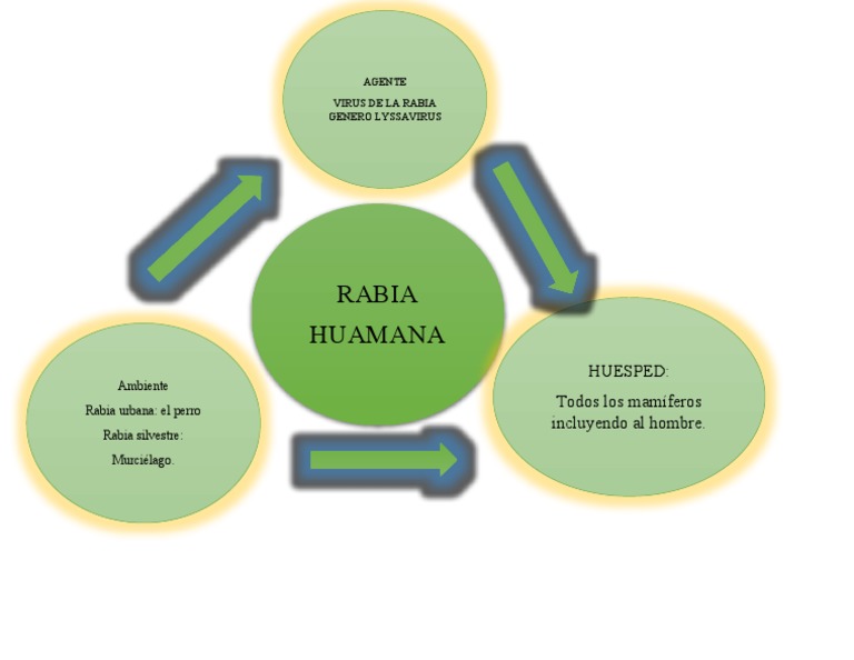 Epidemiología y Agente de la Rabia | PDF
