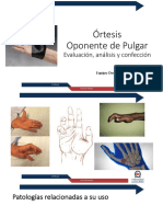 Clase 8 Oponente Pulgar 202110 PDF