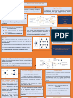 Mapa Conceptual #3