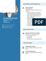 Blue Light Blue Color Blocks Flight Attendant CV