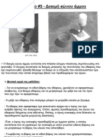 Sand Cone Test PDF