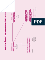 Mapa Mental - Infecção do trato urinário - ITU.pdf