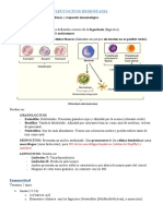 Leucocitos Hemostasia