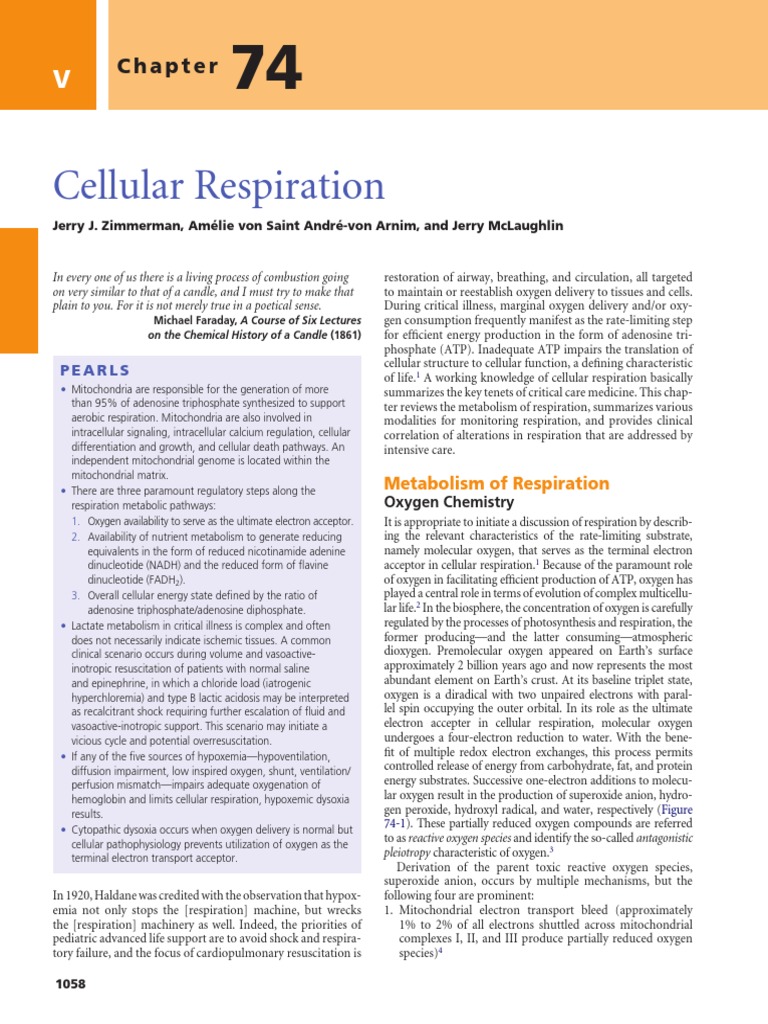 Cellular Respiration PDF | PDF | Adenosine Triphosphate | Mitochondrion