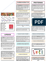 Carbohidratos - Proteinas - Lipidos - Acidos Nucleicos