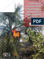Plantas y Fuego V5 Alta PDF