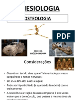 Aula 03 e 04 - Osteologia - Tipos de Ossos e Propriedades Fisiologicas e Mecanicas