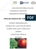 El Virus Del Mosaico Del Tomate