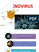 Adenovirus: Estructura, replicación y enfermedades