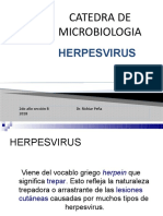 4-Herpes Virus