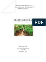 Erosión hídrica: causas, etapas y prevención