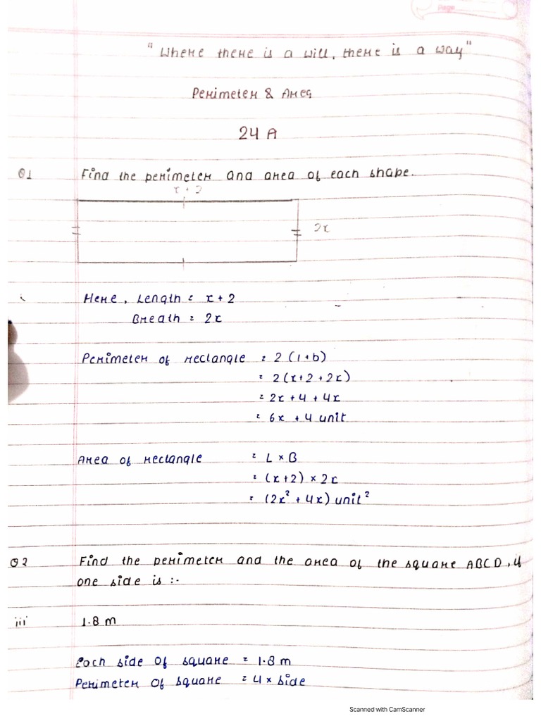 Perimeter and Area | PDF
