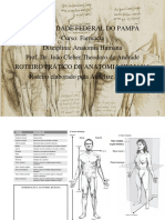 Roteiro de Anatomia FARMÁCIA
