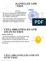 Cell Organelles and Its Function: Nucleus