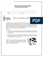 DNA Humano y de Vaca PDF