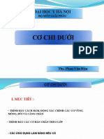 Lec 2 Cơ Chi Dư I PDF