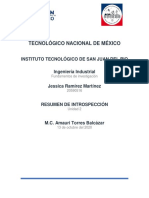 Resumen de Introspección - Tutorias PDF