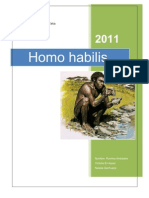 Homo Habilis 3.0