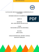 AVACE DEL PROYECTO.docx