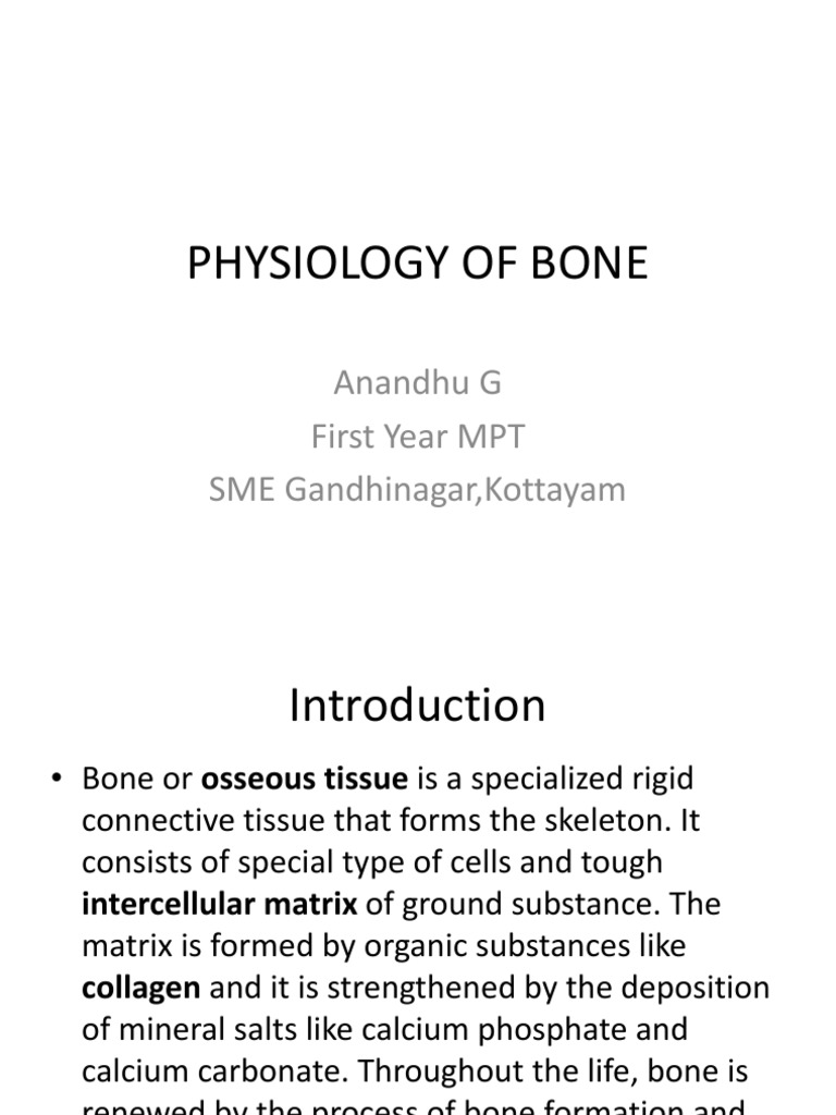 Bone visual data 2