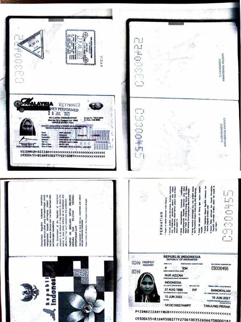 Document 46 PDF | PDF