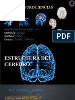 NEUROCIENCIAS