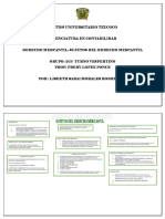 Sujetos de Derecho PDF