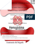 1552 - B2 - Juárez - Cano - Cinthia - Catabolismo de La Hemoglobina