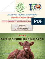 'CARE OF NEONATAL AND YOUNG CALVES Final' With You