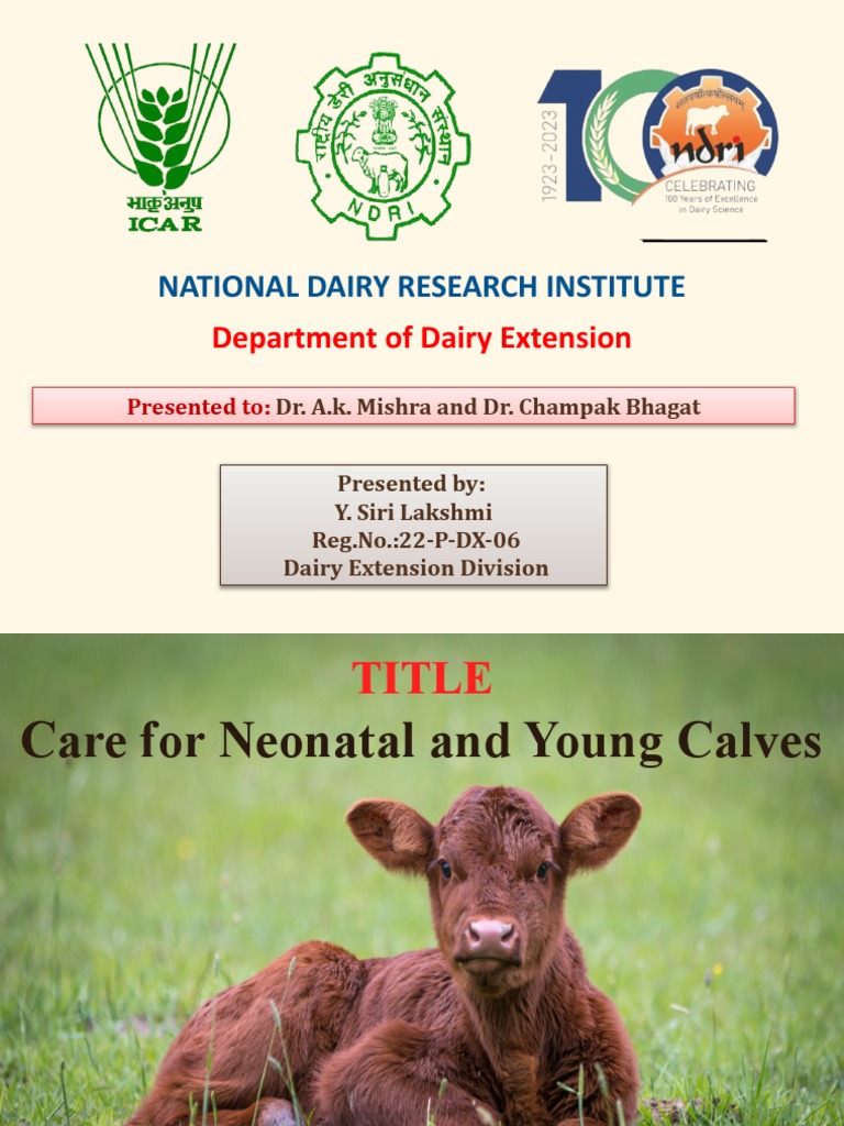 Care Of Neonatal And Young Calves Final With You Pdf Milk Weaning