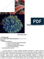 3__Tuberculoza__SIDA__Seminar_-35811