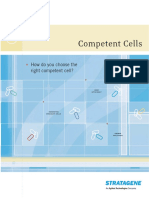 Cells and Types PDF