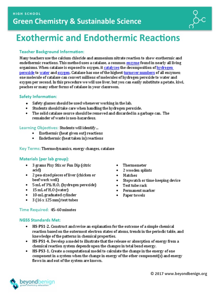 Exothermic Endothermic Lab PDF Catalase Hydrogen Peroxide