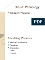 Phonetics & Phonology: Articulatory Mechanisms and Place of Articulation