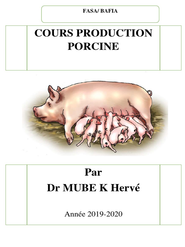 Boyaux de porc : menu en tube souple
