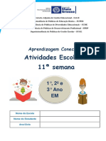 Atividade Escolar 11a-Semana 1 2e3 Anos EM