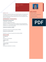 CV - Veronica Juchani Santos PDF