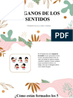 Organos de Los Sentidos