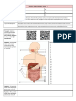 Sistem Pencernaan - Lembar Kerja Peserta Didik PDF