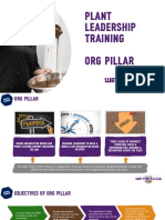 ORG Pillar R1 PDF
