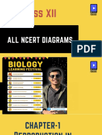 All NCERT Diagrams PPT (Class XII) PDF