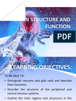 Brain Structure and Function PDF